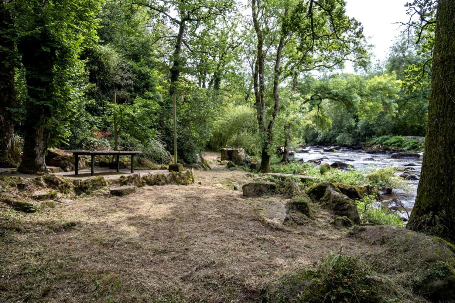 Gite Proche Puy Du Fou Mortagne-sur-Sevre Exteriér fotografie